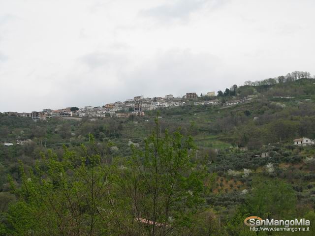 Panorami 19